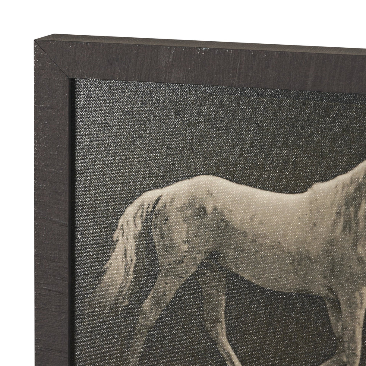 Walking Tall by Eadweard Muybridge Textured Framed CanvasPhoto Print from Mercana - Luna Furniture