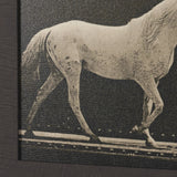 Walking Tall by Eadweard Muybridge Textured Framed CanvasPhoto Print from Mercana - Luna Furniture