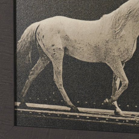 Walking Tall by Eadweard Muybridge Textured Framed CanvasPhoto Print from Mercana - Luna Furniture