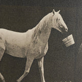 Walking Tall by Eadweard Muybridge Textured Framed CanvasPhoto Print from Mercana - Luna Furniture