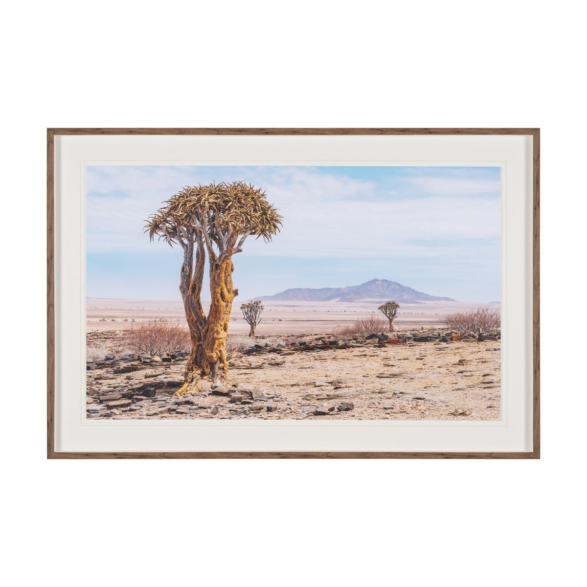 Namibia Tree in Desert by Richard Silver Textured Framed Photo Print Matted under Glass from Mercana - Luna Furniture