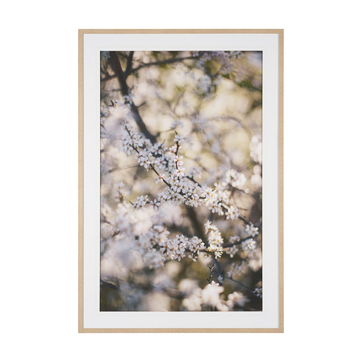 Wilde Prunus by Zaira Zarotti Textured Framed Photo Print Matted under Glass from Mercana - Luna Furniture