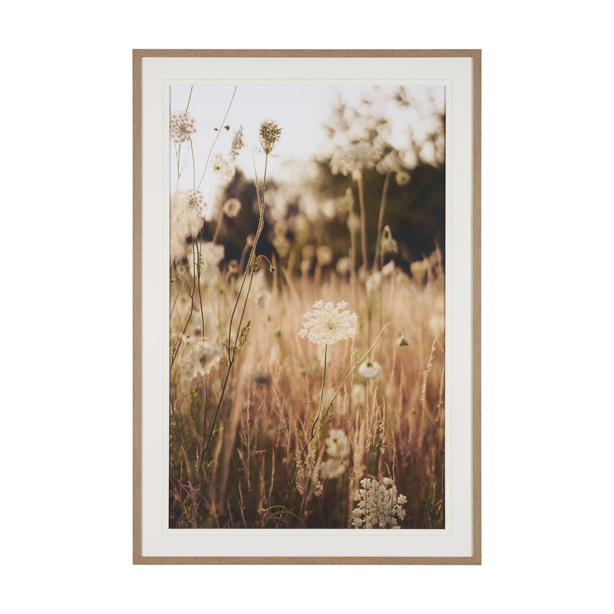 Wild Carrot Flowers by Zaira Zarotti Textured Framed Photo Print Matted under Glass from Mercana - Luna Furniture