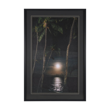 Maui Moonlight by Stefan and Audrey Hand-Embellished Textured Framed Photo Print Matted under Glass from Mercana - Luna Furniture