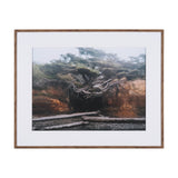 Tree of Life by Stefan and Audrey Textured Framed Photo Print Matted under Glass from Mercana - Luna Furniture