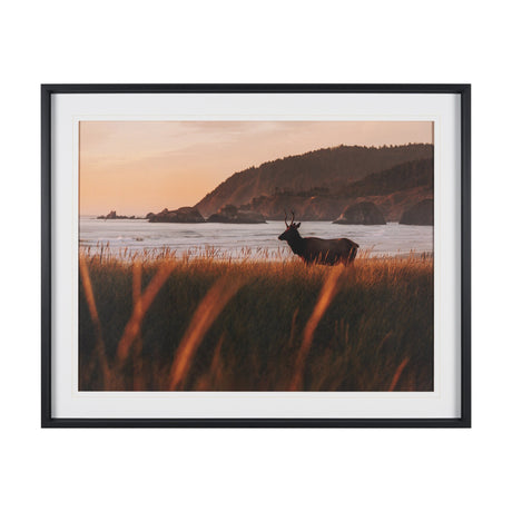 Cannon Beach Elk by Stefan and Audrey Textured Framed Photo Print Matted under Glass from Mercana - Luna Furniture
