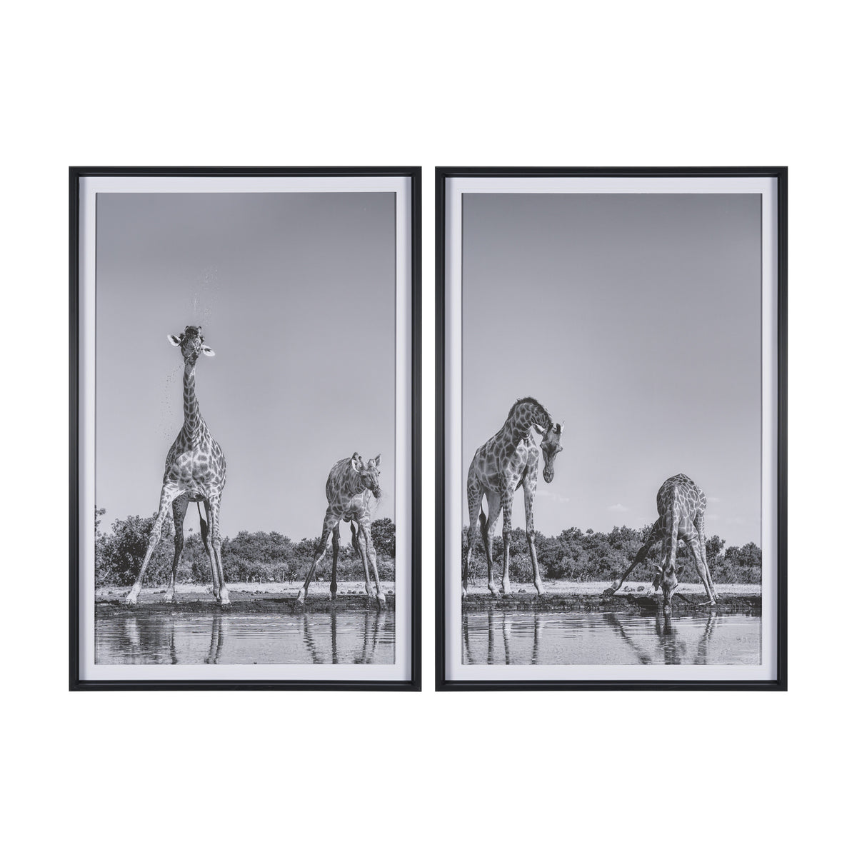 Thirsty Savanna Giraffes(Set of 2) by Jun Zuo Hand-Embellished Framed Photo Print Matted under Glass from Mercana - Luna Furniture