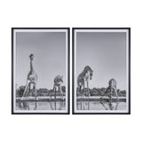 Thirsty Savanna Giraffes(Set of 2) by Jun Zuo Hand-Embellished Framed Photo Print Matted under Glass from Mercana - Luna Furniture