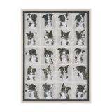 A Dogs Many Faces by Mercana Studio Hand-Embellished Framed Artwork Matted under Glass from Mercana - Luna Furniture