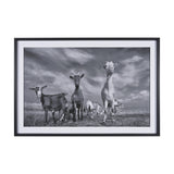 Curious Farm Goats by Novica Stankovic Hand-Embellished Textured Framed Artwork Matted under Glass