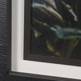 Kauai Jungle Dream by Stefan and Audrey Textured Framed Photo Print Matted under Glass from Mercana - Luna Furniture