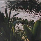 Kauai Jungle Dream by Stefan and Audrey Textured Framed Photo Print Matted under Glass from Mercana - Luna Furniture