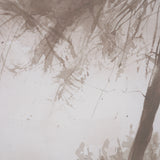 Timber Light II by Mercana Studio Framed Artwork Matted under Glass from Mercana - Luna Furniture