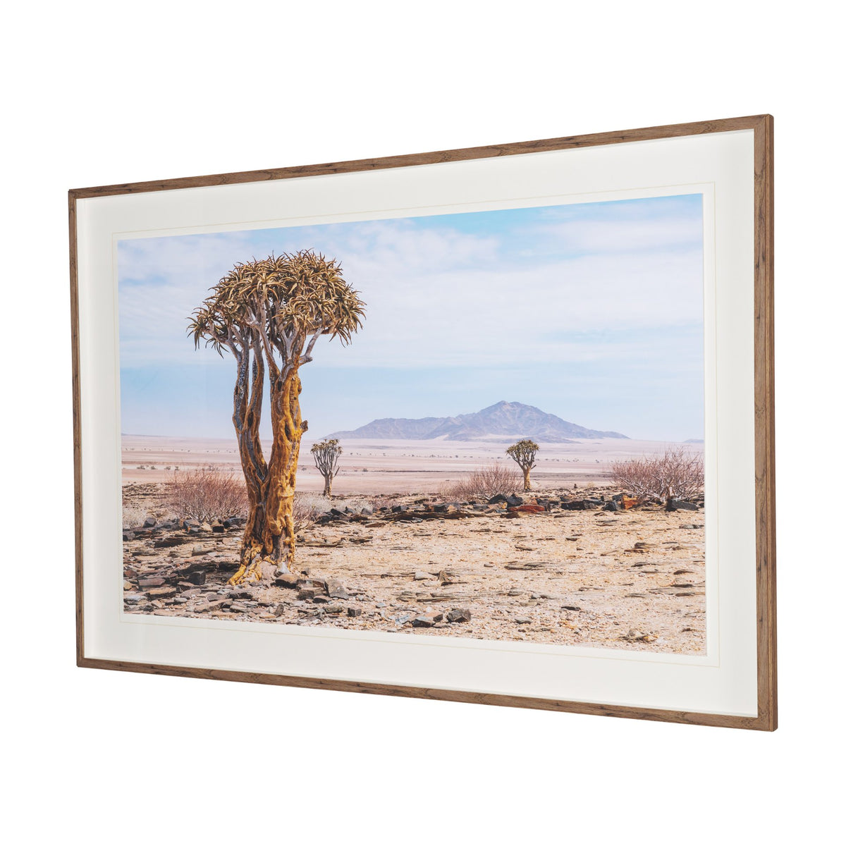 Namibia Tree in Desert by Richard Silver Textured Framed Photo Print Matted under Glass from Mercana - Luna Furniture