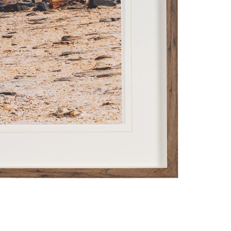 Namibia Tree in Desert by Richard Silver Textured Framed Photo Print Matted under Glass from Mercana - Luna Furniture