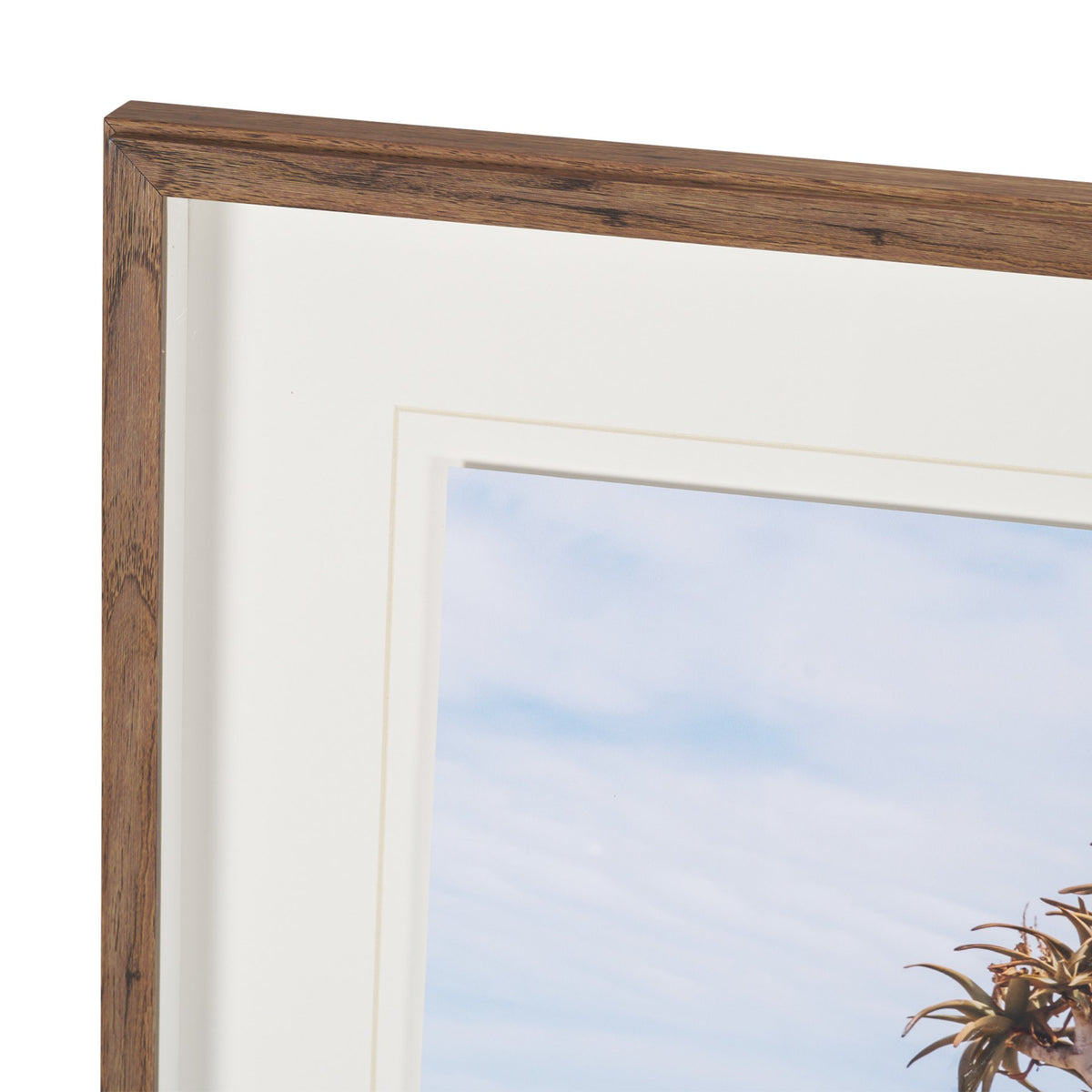 Namibia Tree in Desert by Richard Silver Textured Framed Photo Print Matted under Glass from Mercana - Luna Furniture