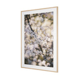 Wilde Prunus by Zaira Zarotti Textured Framed Photo Print Matted under Glass from Mercana - Luna Furniture