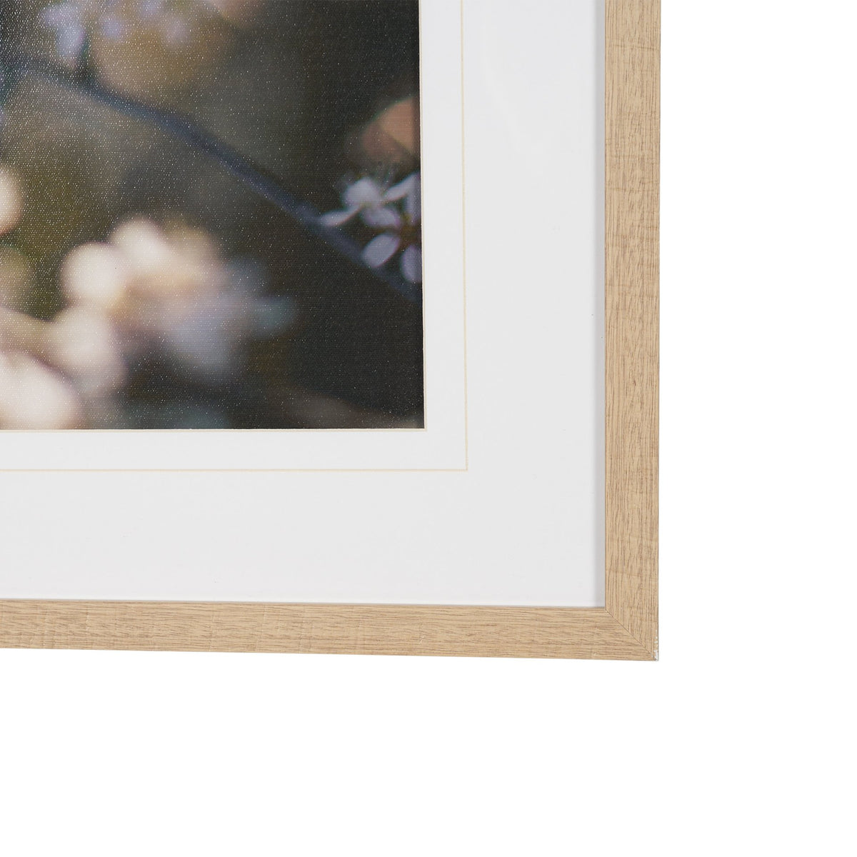 Wilde Prunus by Zaira Zarotti Textured Framed Photo Print Matted under Glass from Mercana - Luna Furniture