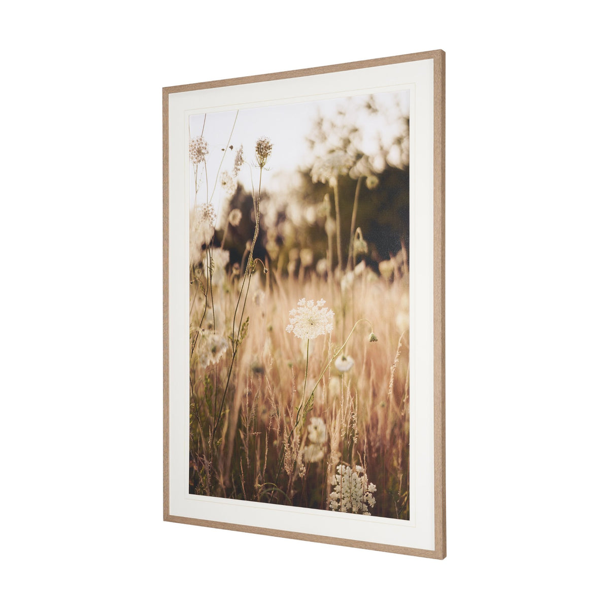 Wild Carrot Flowers by Zaira Zarotti Textured Framed Photo Print Matted under Glass from Mercana - Luna Furniture