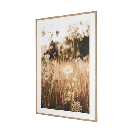 Wild Carrot Flowers by Zaira Zarotti Textured Framed Photo Print Matted under Glass from Mercana - Luna Furniture