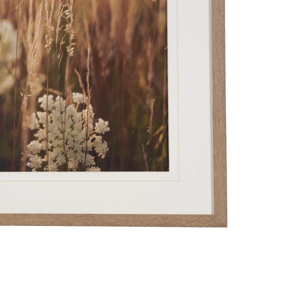 Wild Carrot Flowers by Zaira Zarotti Textured Framed Photo Print Matted under Glass from Mercana - Luna Furniture