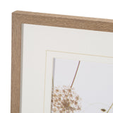 Wild Carrot Flowers by Zaira Zarotti Textured Framed Photo Print Matted under Glass from Mercana - Luna Furniture