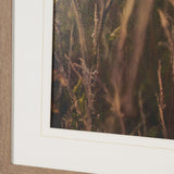 Wild Carrot Flowers by Zaira Zarotti Textured Framed Photo Print Matted under Glass from Mercana - Luna Furniture