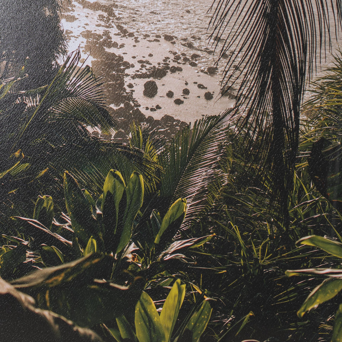 Princeville Kauai Jungle by Stefan and Audrey Textured Framed Photo Print Matted under Glass from Mercana - Luna Furniture