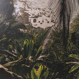 Princeville Kauai Jungle by Stefan and Audrey Textured Framed Photo Print Matted under Glass from Mercana - Luna Furniture
