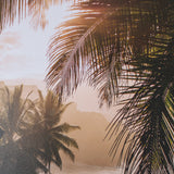 Princeville Kauai Jungle by Stefan and Audrey Textured Framed Photo Print Matted under Glass from Mercana - Luna Furniture