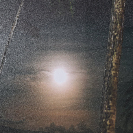 Maui Moonlight by Stefan and Audrey Hand-Embellished Textured Framed Photo Print Matted under Glass from Mercana - Luna Furniture
