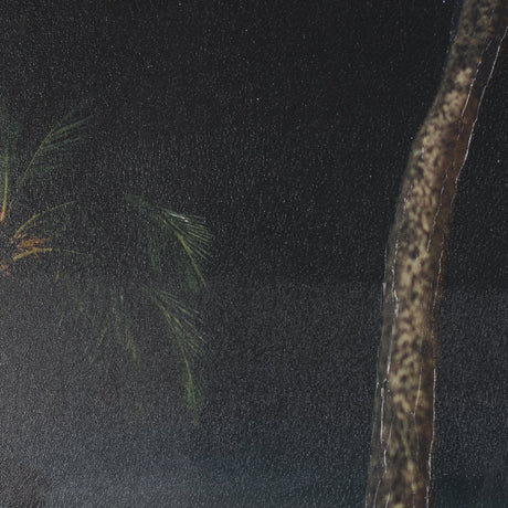 Maui Moonlight by Stefan and Audrey Hand-Embellished Textured Framed Photo Print Matted under Glass from Mercana - Luna Furniture
