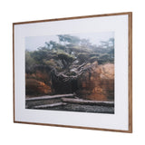 Tree of Life by Stefan and Audrey Textured Framed Photo Print Matted under Glass from Mercana - Luna Furniture