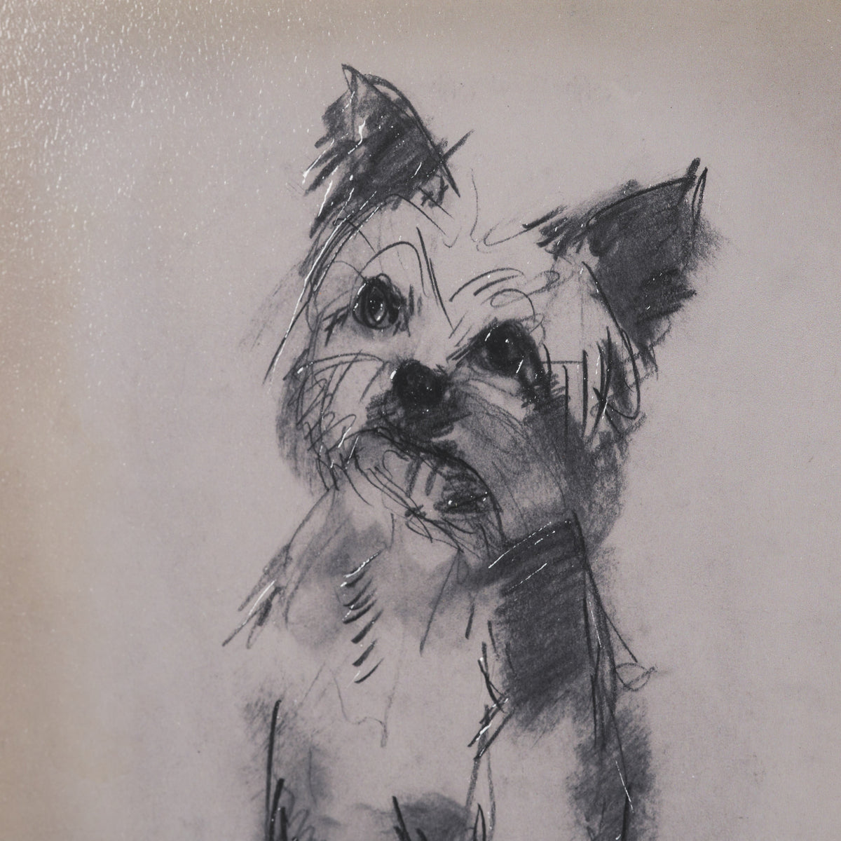 White Scottie by Mercana Studio Hand-Embellished Framed Artwork Matted under Glass from Mercana - Luna Furniture