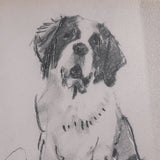 St. Bernard by Mercana Studio Hand-Embellished Framed Artwork Matted under Glass from Mercana - Luna Furniture