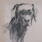 Black Lab by Mercana Studio Hand-Embellished Framed Artwork Matted under Glass from Mercana - Luna Furniture
