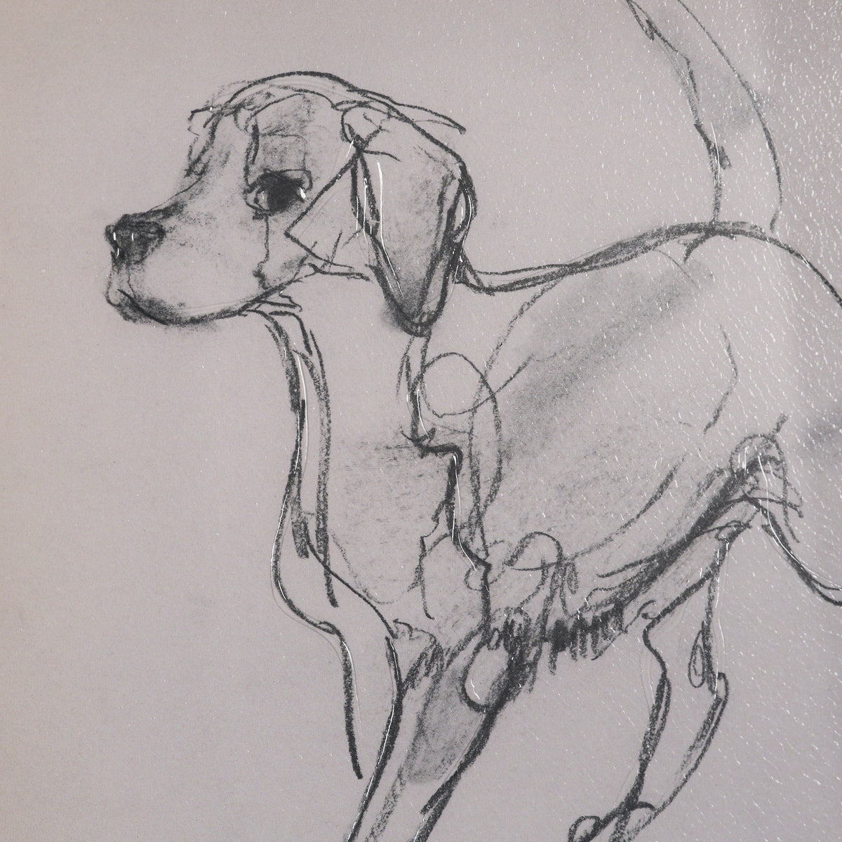 Good Boy by Mercana Studio Hand-Embellished Framed Artwork Matted under Glass from Mercana - Luna Furniture