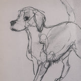 Good Boy by Mercana Studio Hand-Embellished Framed Artwork Matted under Glass from Mercana - Luna Furniture