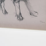 Border Collie by Mercana Studio Hand-Embellished Framed Artwork Matted under Glass
