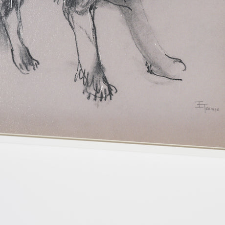 Border Collie by Mercana Studio Hand-Embellished Framed Artwork Matted under Glass from Mercana - Luna Furniture