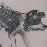 Border Collie by Mercana Studio Hand-Embellished Framed Artwork Matted under Glass