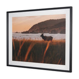 Cannon Beach Elk by Stefan and Audrey Textured Framed Photo Print Matted under Glass