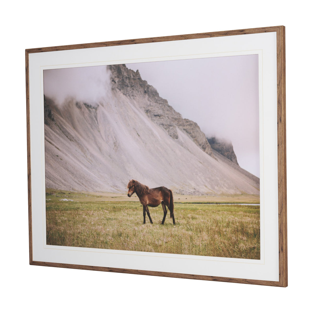 Icelandic Horse by Stefan and Audrey Framed Photo Print Matted under Glass
