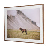 Icelandic Horse by Stefan and Audrey Framed Photo Print Matted under Glass