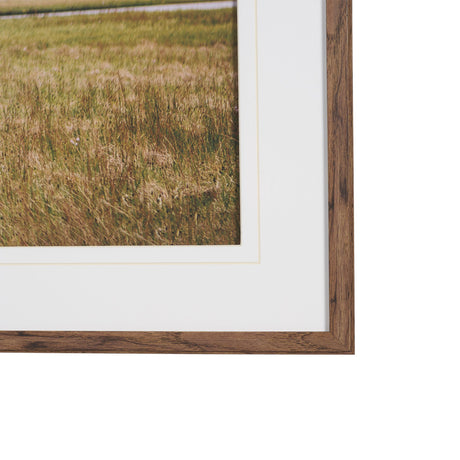 Icelandic Horse by Stefan and Audrey Framed Photo Print Matted under Glass from Mercana - Luna Furniture