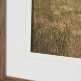 Icelandic Horse by Stefan and Audrey Framed Photo Print Matted under Glass