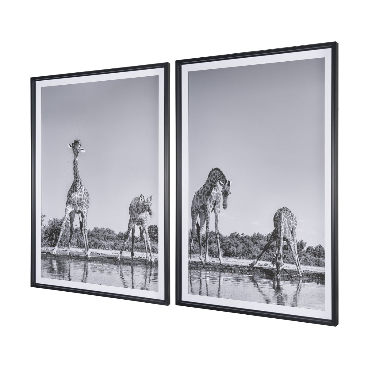 Thirsty Savanna Giraffes(Set of 2) by Jun Zuo Hand-Embellished Framed Photo Print Matted under Glass from Mercana - Luna Furniture