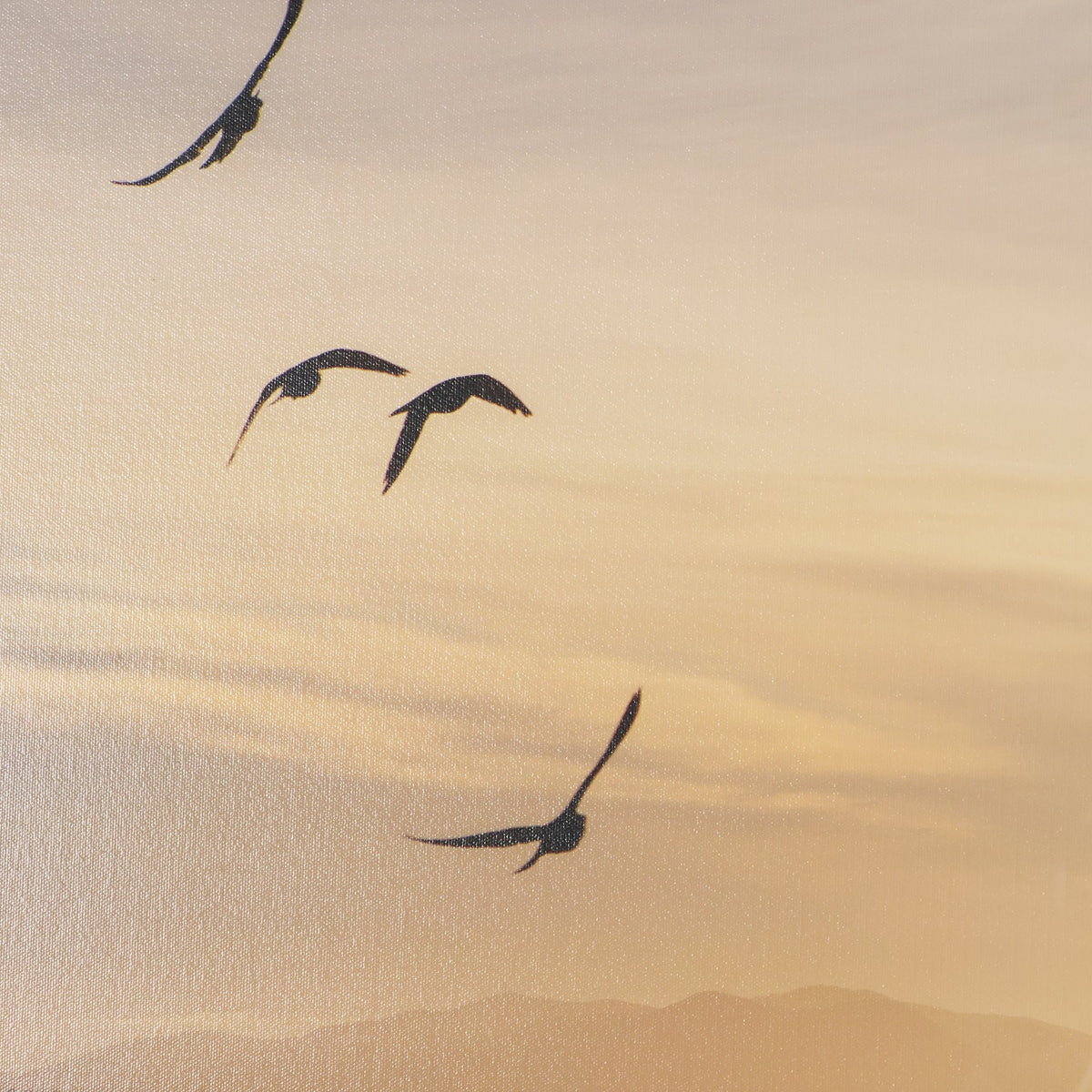 Tuscan View Sunset - Flight by Zaira Zarotti Framed Photo Print Matted under Glass from Mercana - Luna Furniture