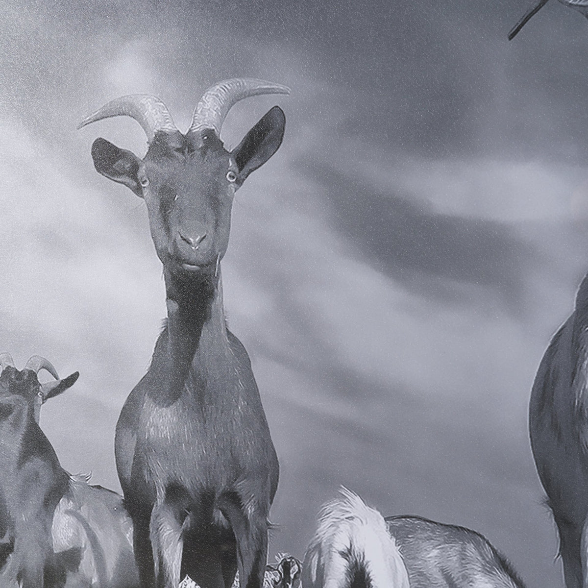 Curious Farm Goats by Novica Stankovic Hand-Embellished Textured Framed Artwork Matted under Glass