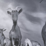Curious Farm Goats by Novica Stankovic Hand-Embellished Textured Framed Artwork Matted under Glass